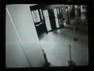 IMG 2774