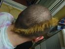 IMG 3281