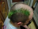 IMG 3284