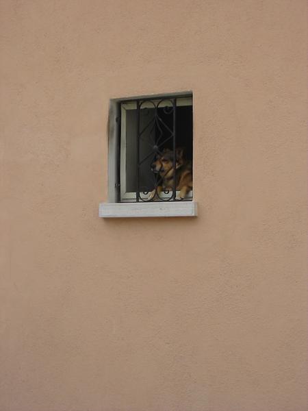 IMG 3063