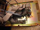 IMG 4074