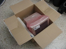 IMG 4348