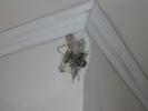 IMG 3909
