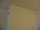 IMG 3915